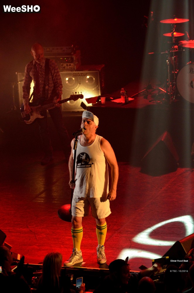 17/42 photos du spectacle Elmer Food Beat