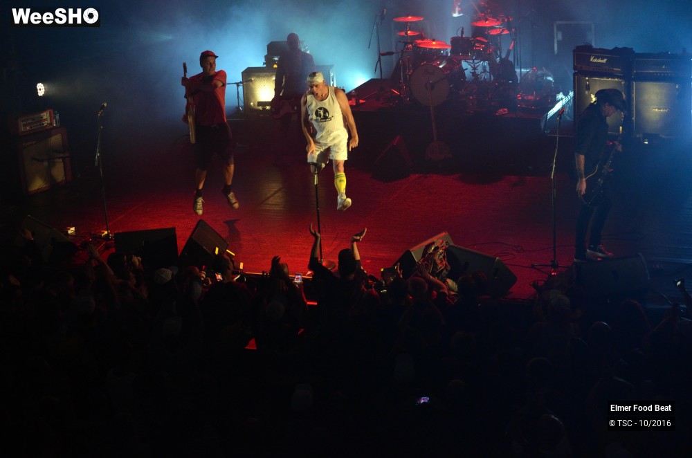 21/42 photos du spectacle Elmer Food Beat