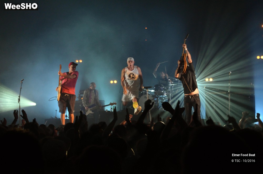23/42 photos du spectacle Elmer Food Beat