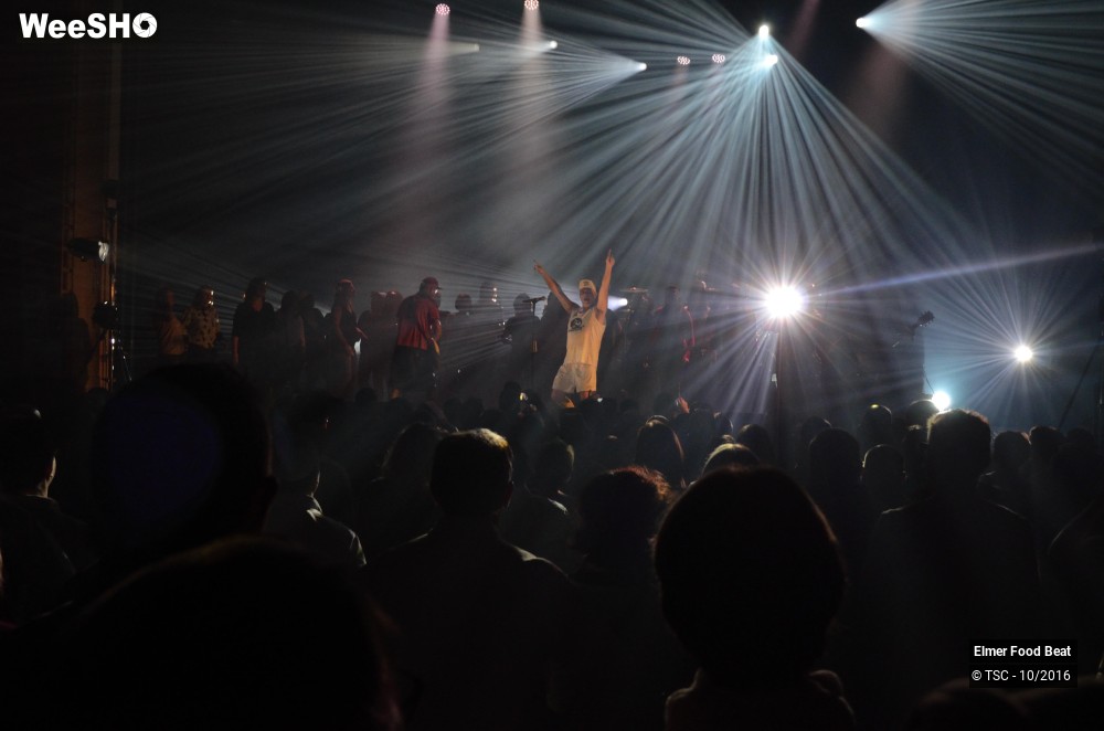 25/42 photos du spectacle Elmer Food Beat