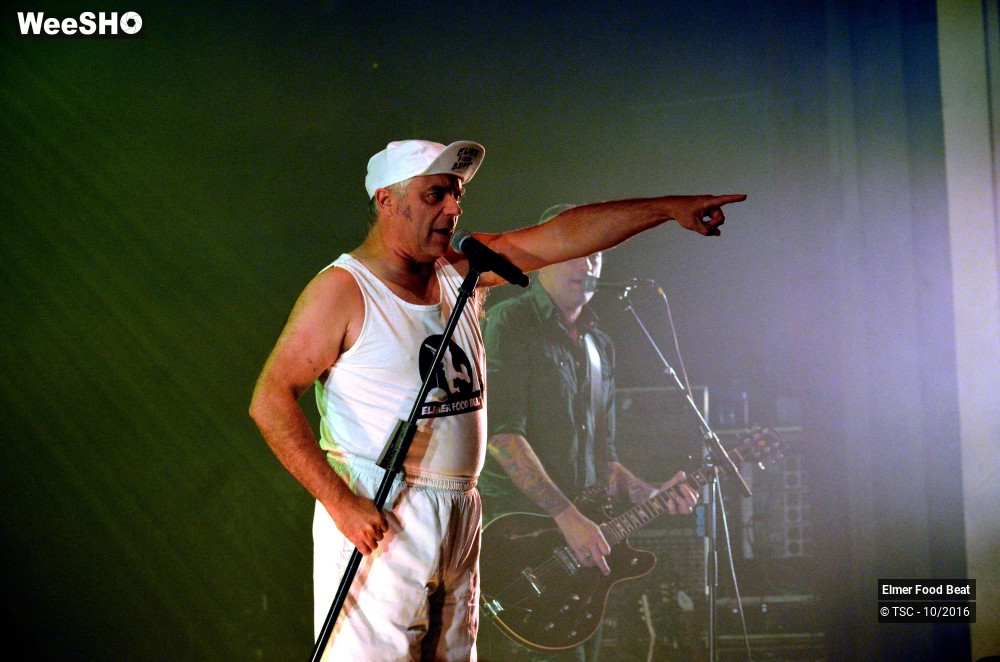 32/42 photos du spectacle Elmer Food Beat