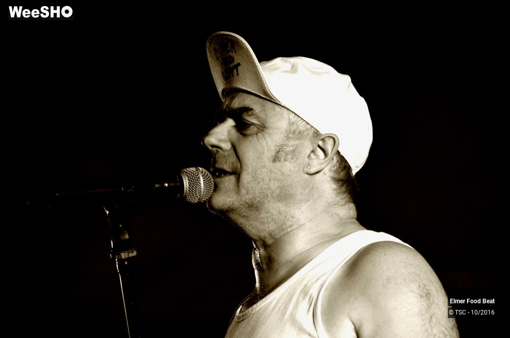 35/42 photos du spectacle Elmer Food Beat
