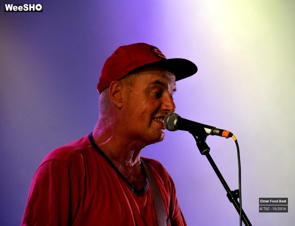 36/42 photos du spectacle Elmer Food Beat