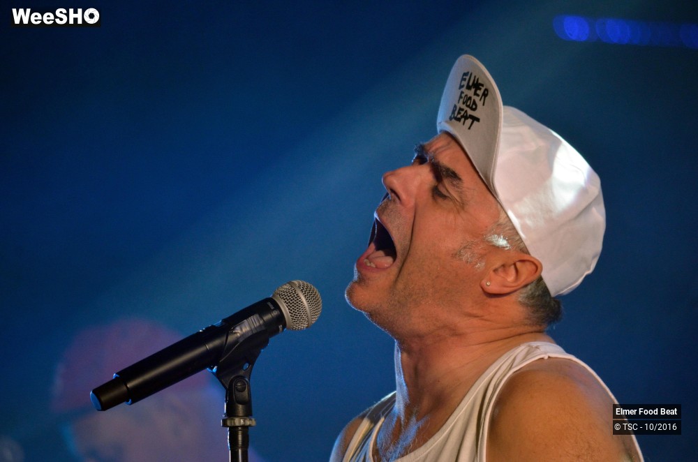 38/42 photos du spectacle Elmer Food Beat