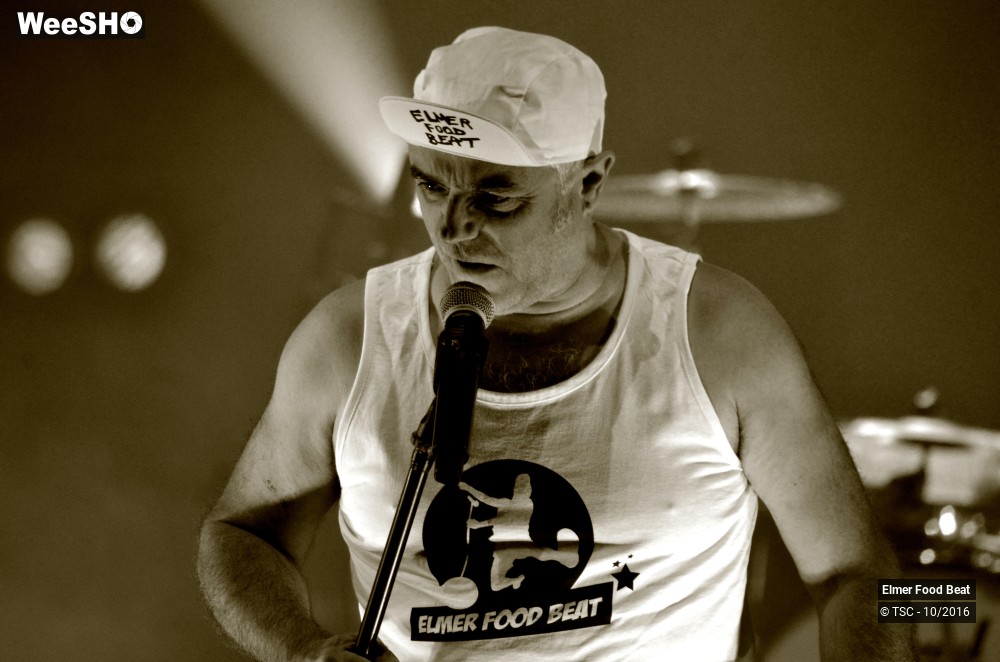 42/42 photos du spectacle Elmer Food Beat
