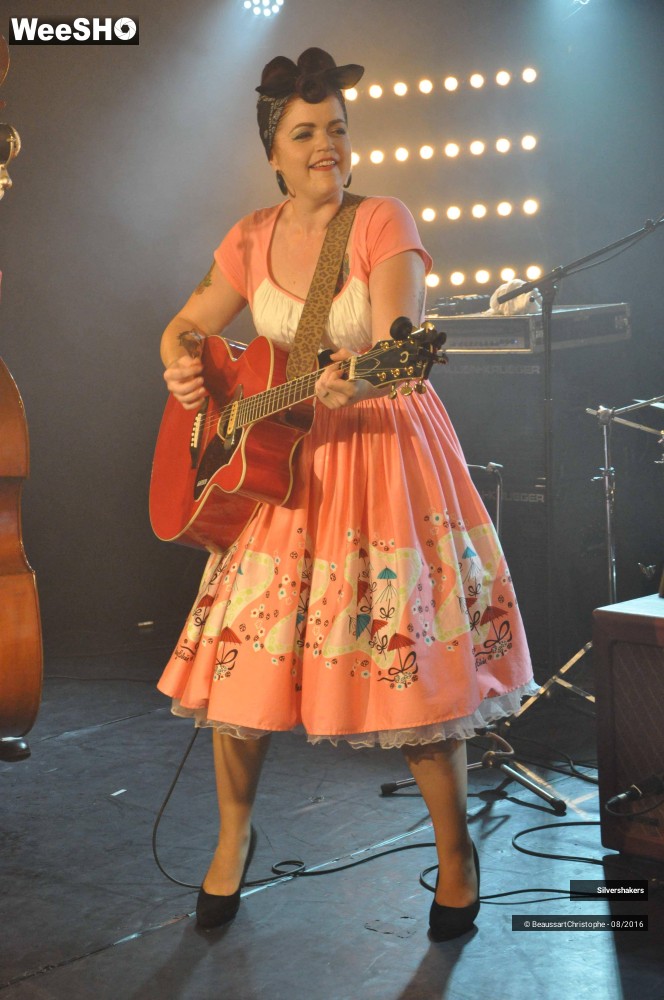1/31 photos du spectacle Silvershakers