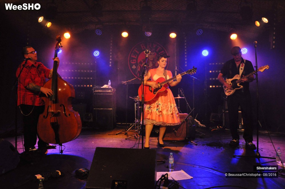 4/31 photos du spectacle Silvershakers
