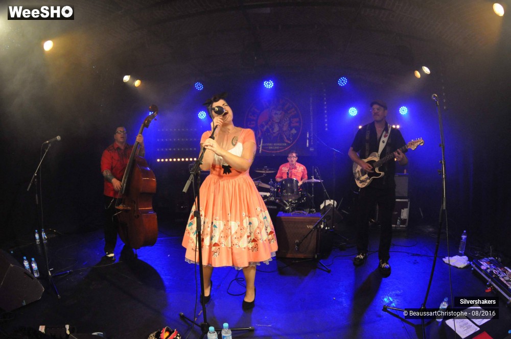 11/31 photos du spectacle Silvershakers