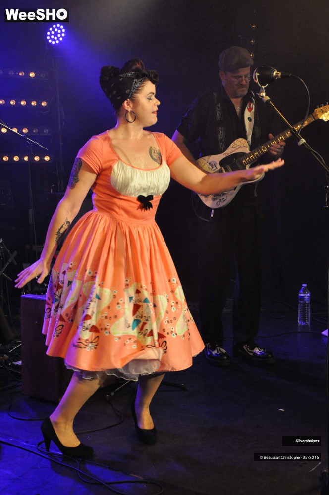 13/31 photos du spectacle Silvershakers