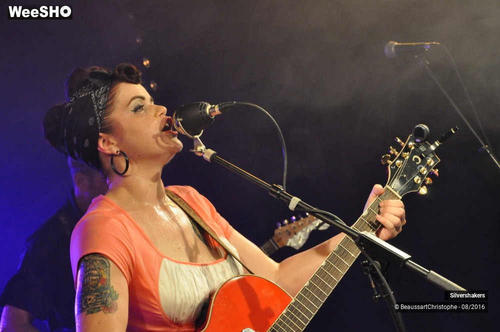 17/31 photos du spectacle Silvershakers