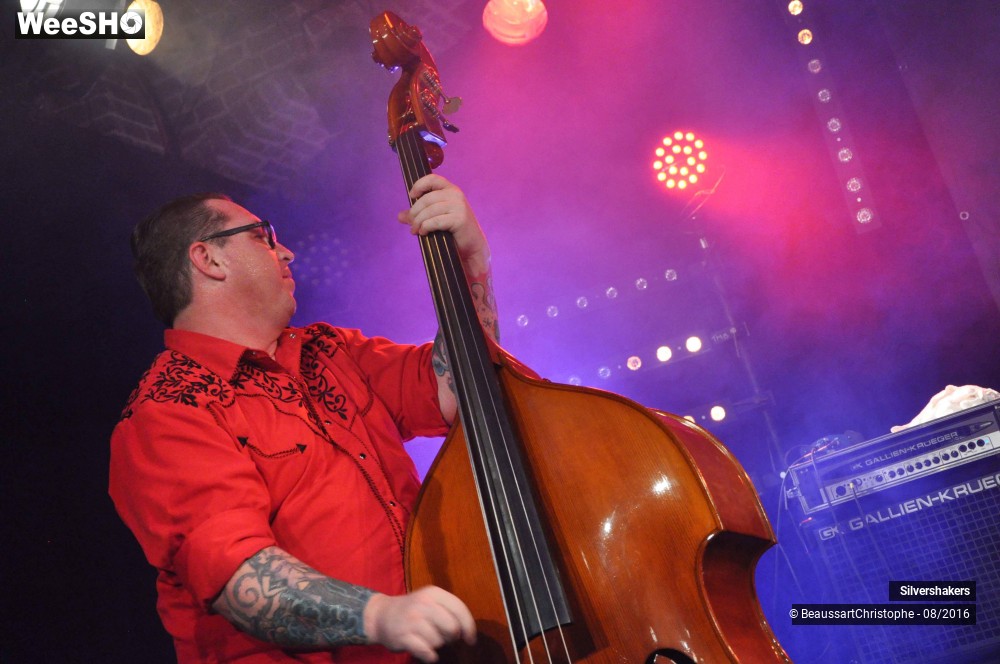 23/31 photos du spectacle Silvershakers