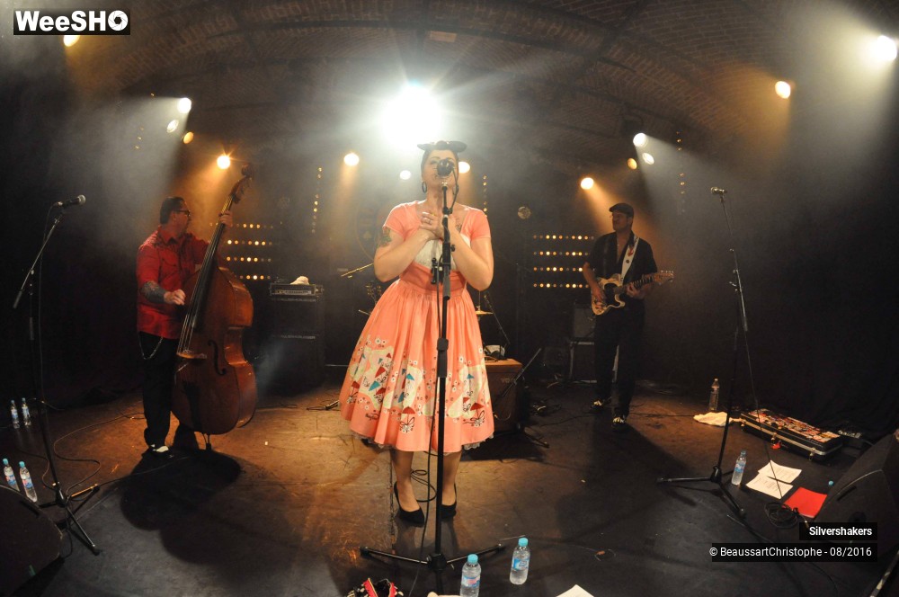 26/31 photos du spectacle Silvershakers