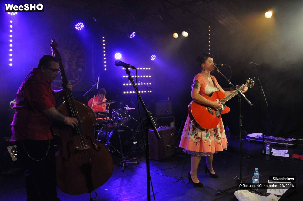 27/31 photos du spectacle Silvershakers