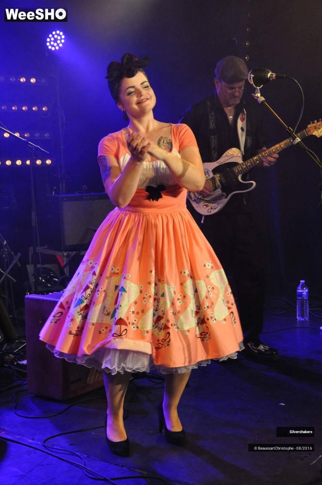 30/31 photos du spectacle Silvershakers