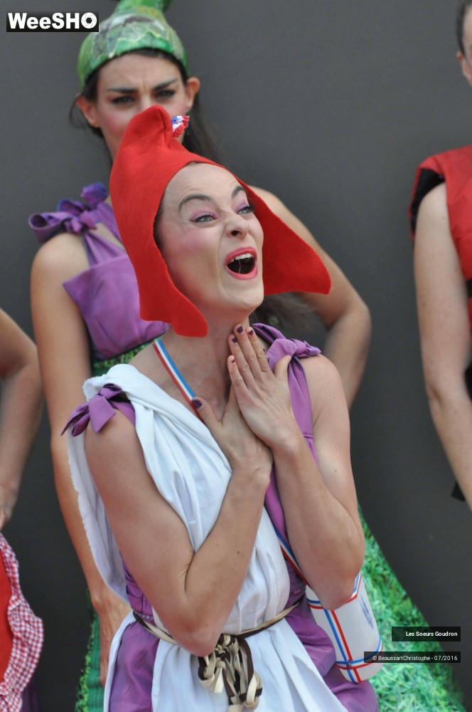 5/51 photos du spectacle Dames de France