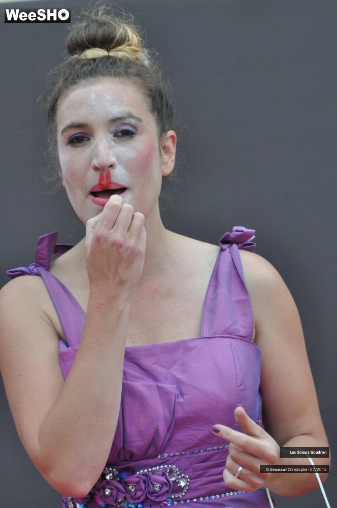 25/51 photos du spectacle Dames de France