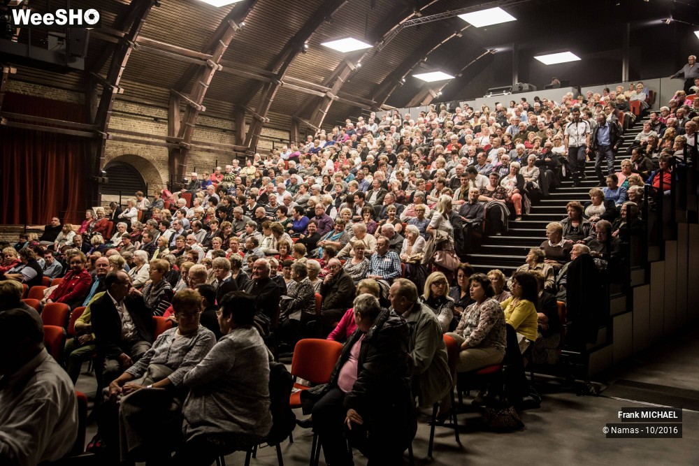 23/29 photos du spectacle Frank Michaël