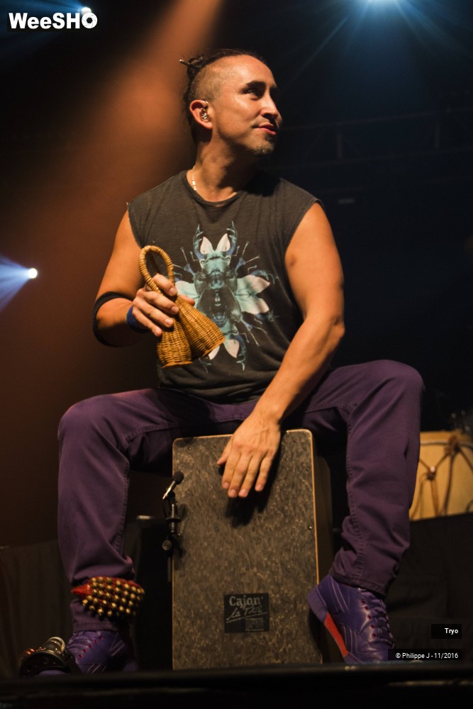 31/42 photos du spectacle Tryo