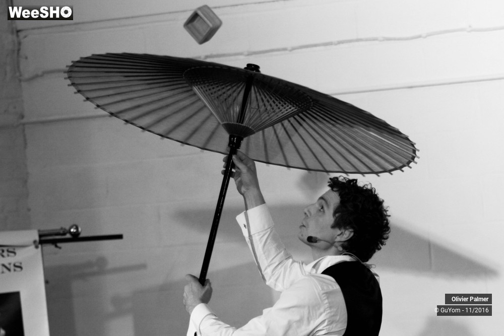 11/33 photos du spectacle Formidable