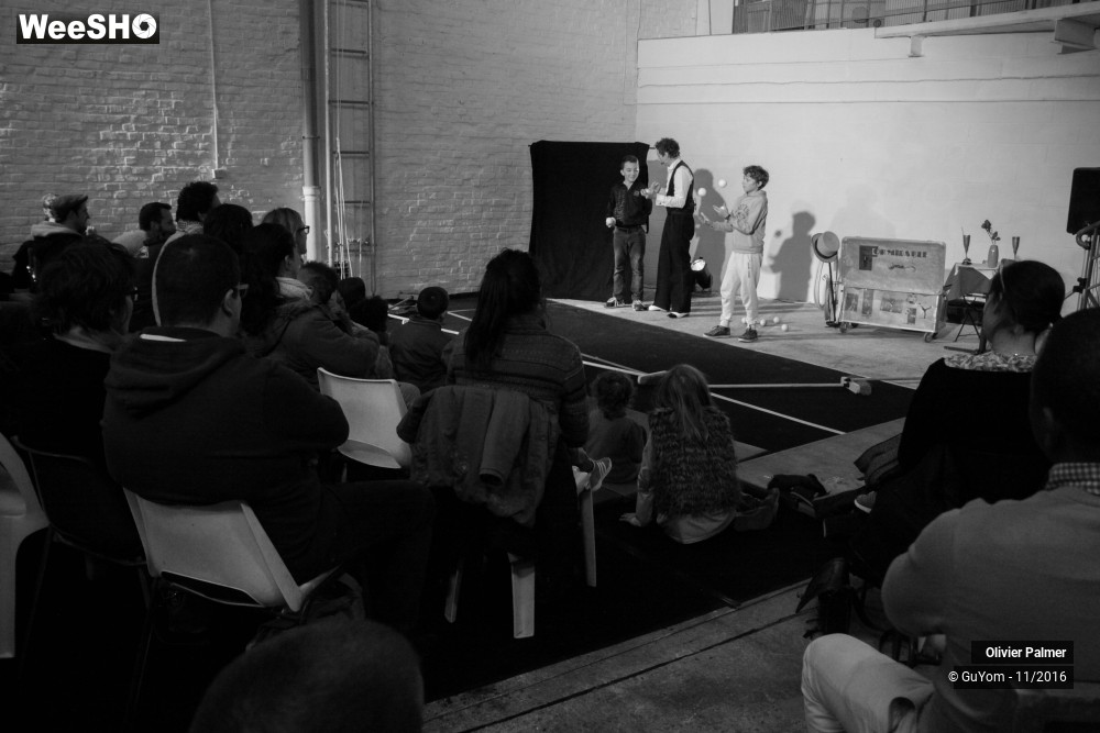 24/33 photos du spectacle Formidable