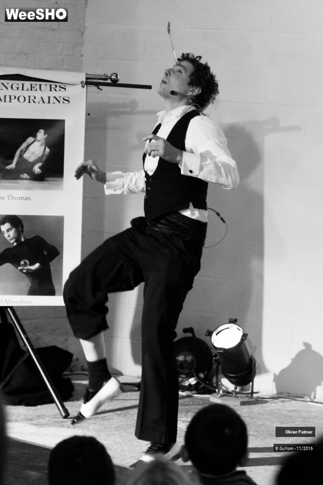 28/33 photos du spectacle Formidable