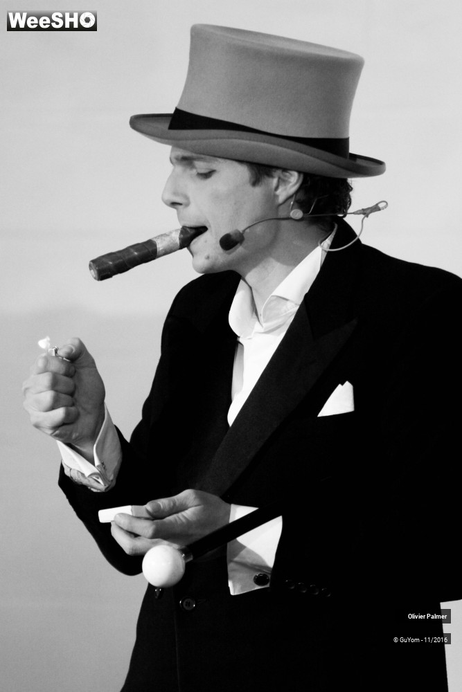 32/33 photos du spectacle Formidable