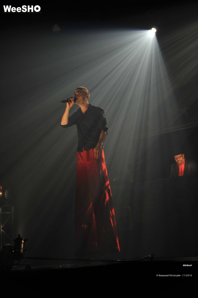 28/46 photos du spectacle Enfantillages, Aldebert