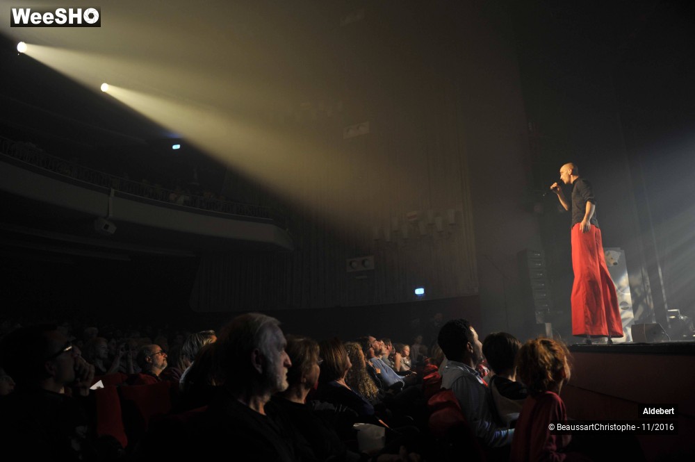 33/46 photos du spectacle Enfantillages, Aldebert