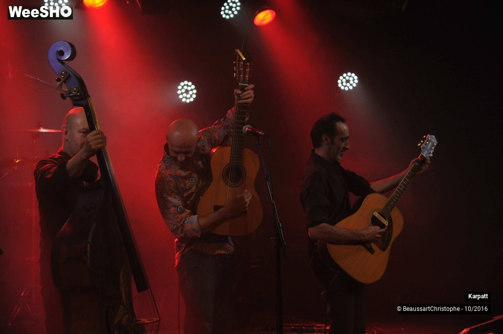 15/40 photos du spectacle Karpatt