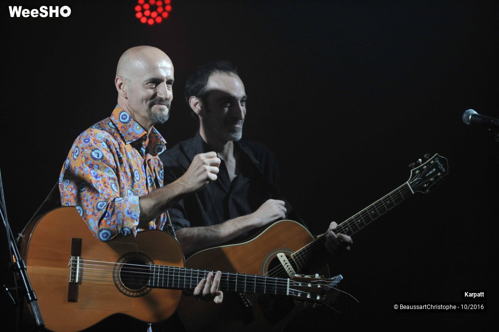 20/40 photos du spectacle Karpatt
