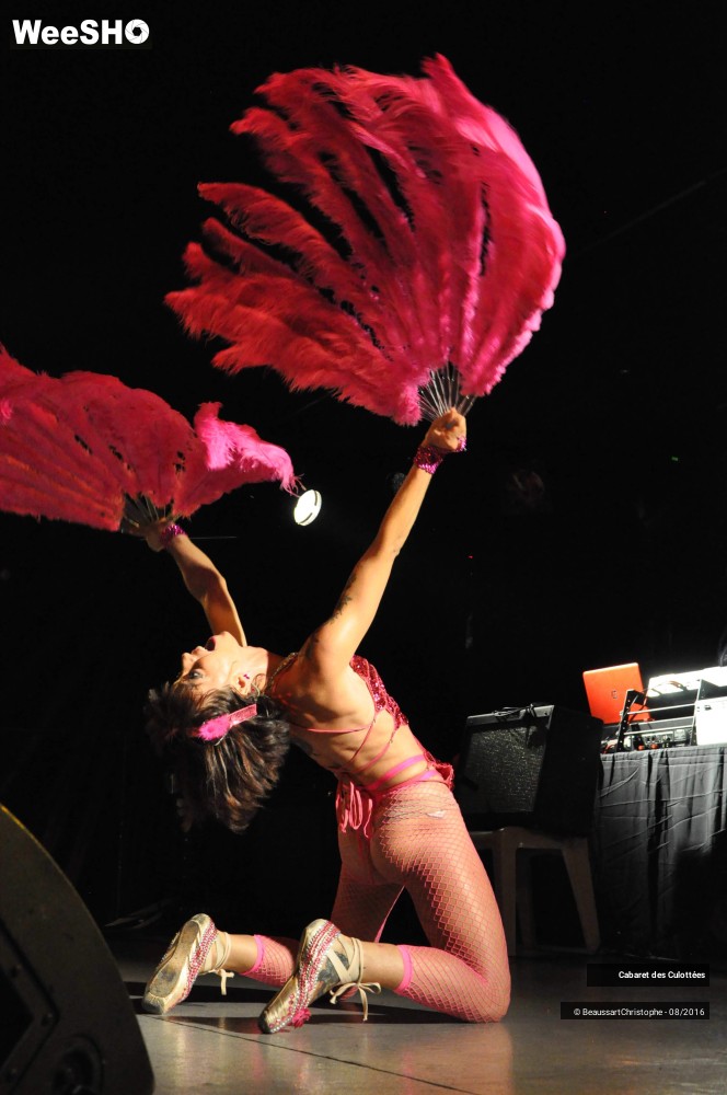 28/51 photos du spectacle Le Cabaret des Culottées