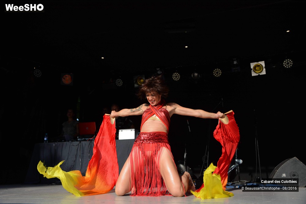 30/51 photos du spectacle Le Cabaret des Culottées