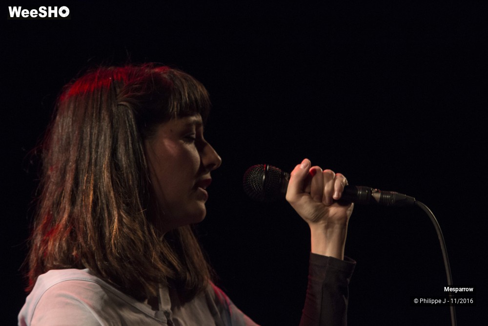 16/19 photos du spectacle Mesparrow