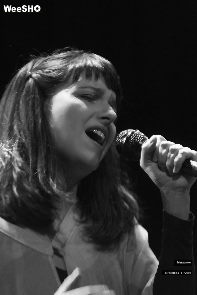 19/19 photos du spectacle Mesparrow