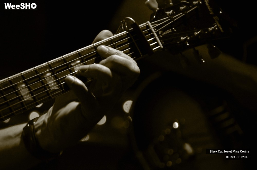 1/7 photos du spectacle Black Cat Joe et Miss Corina