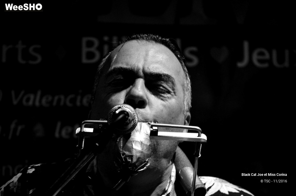 3/7 photos du spectacle Black Cat Joe et Miss Corina