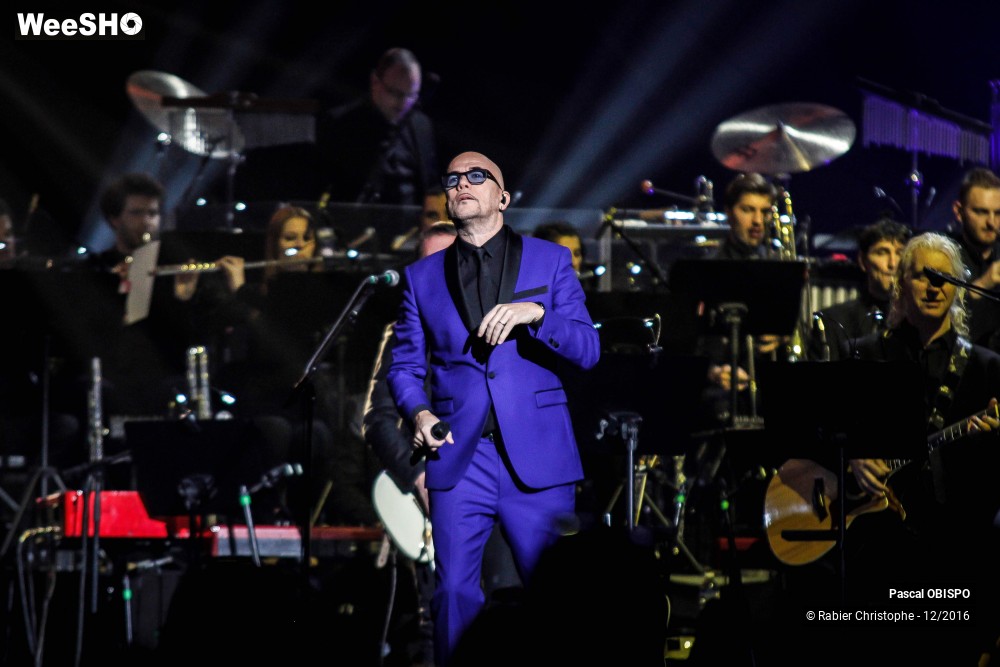 8/41 photos du spectacle Pascal Obispo
