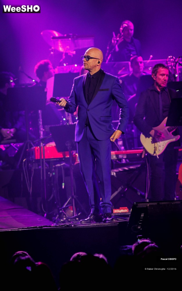 12/41 photos du spectacle Pascal Obispo