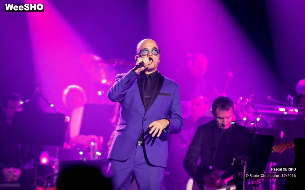 13/41 photos du spectacle Pascal Obispo