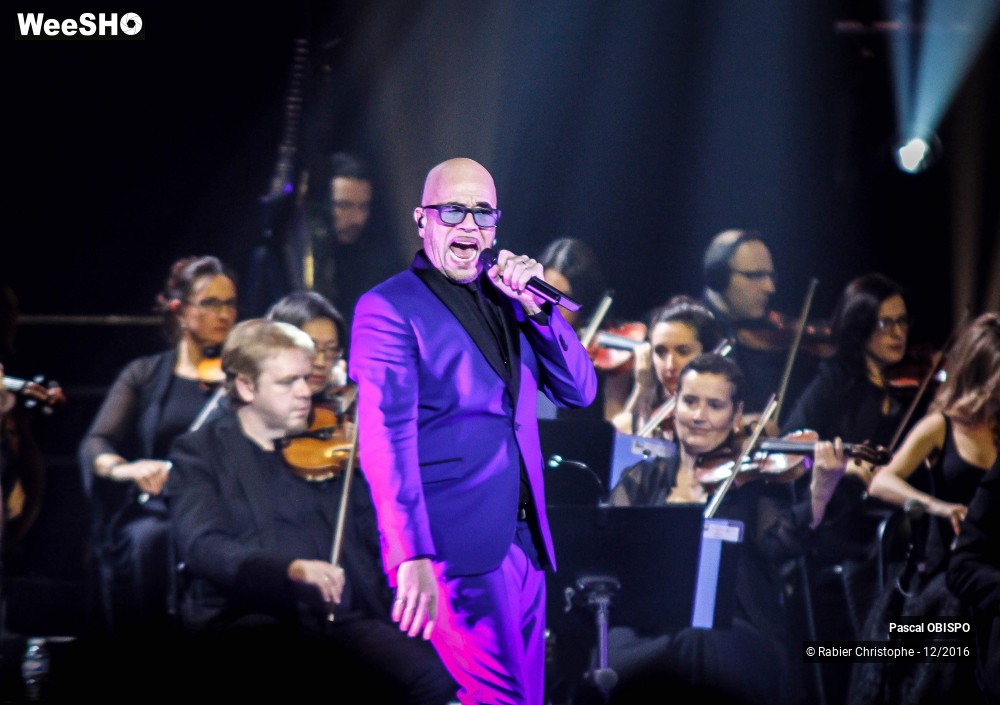 15/41 photos du spectacle Pascal Obispo