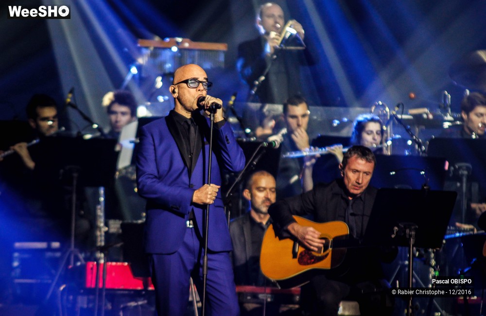 17/41 photos du spectacle Pascal Obispo