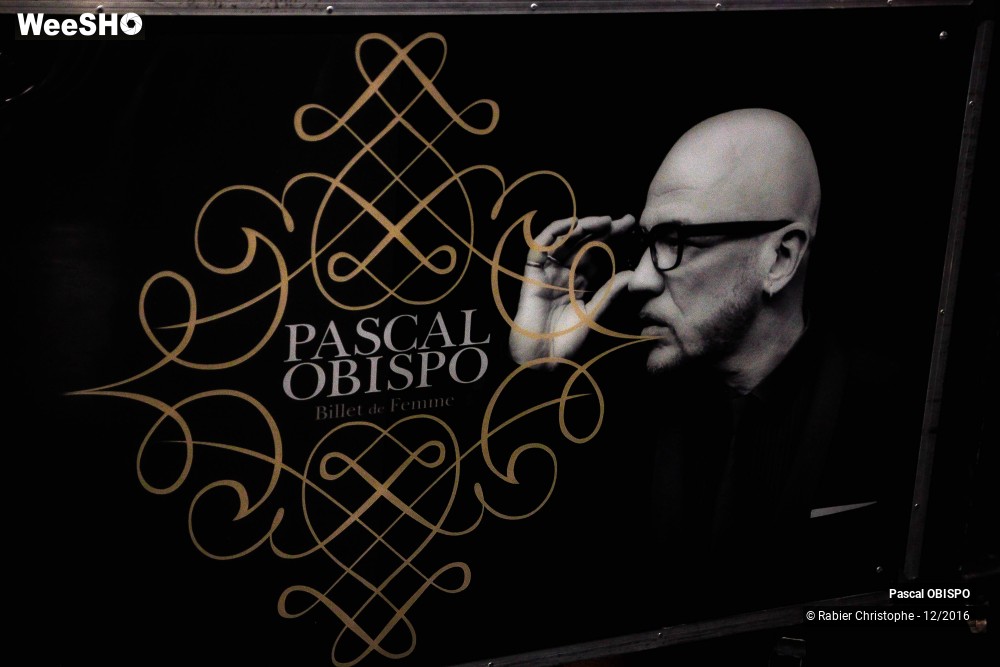 18/41 photos du spectacle Pascal Obispo