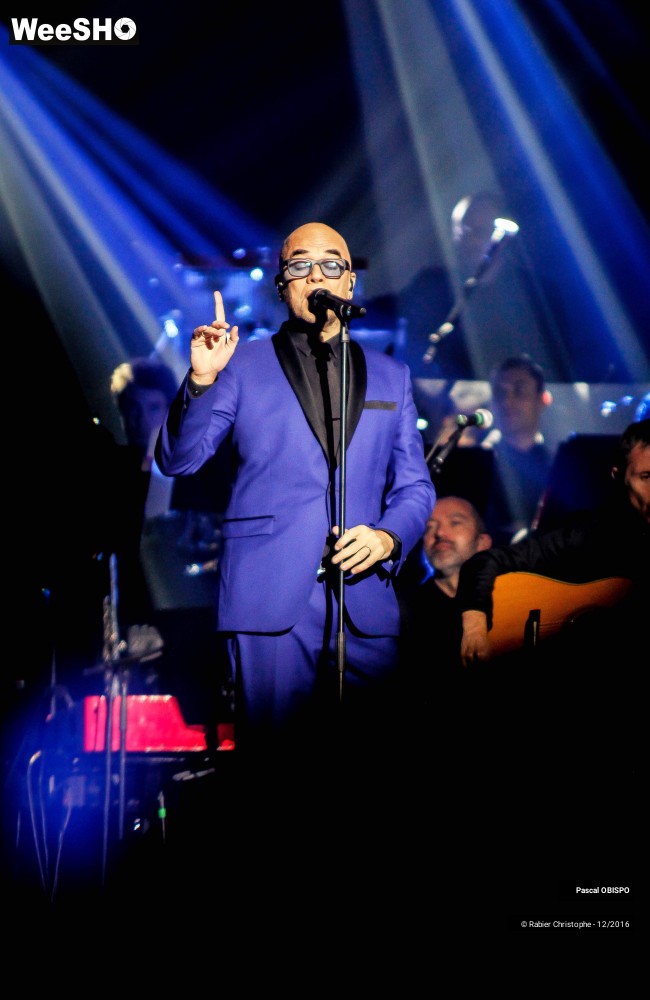 19/41 photos du spectacle Pascal Obispo