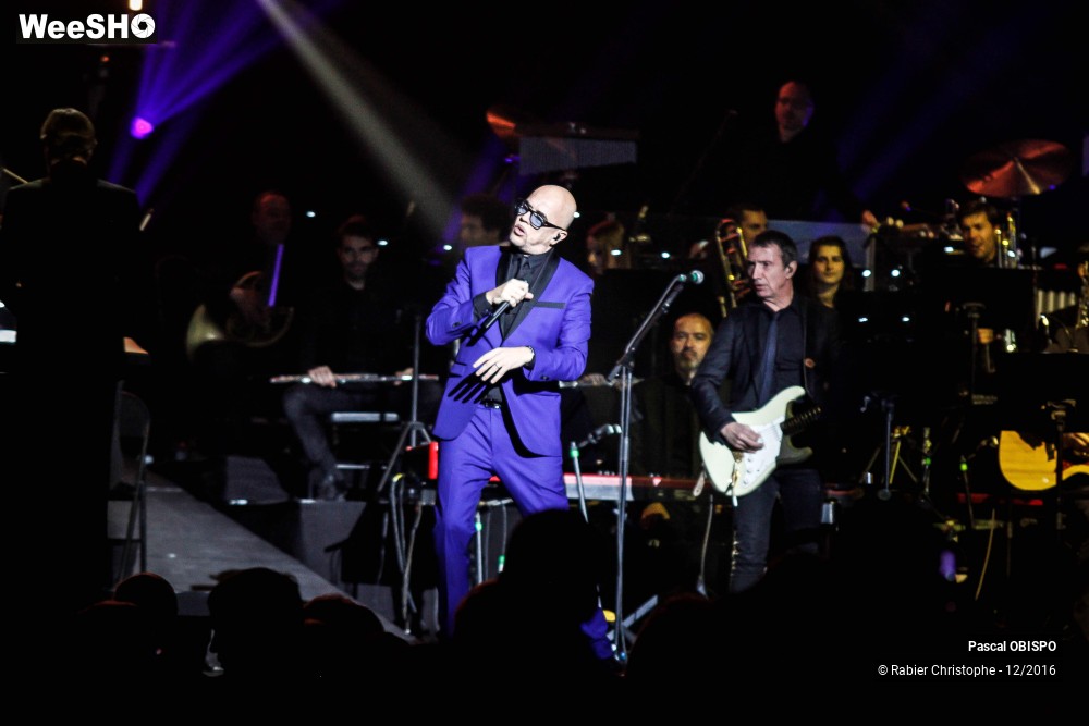20/41 photos du spectacle Pascal Obispo