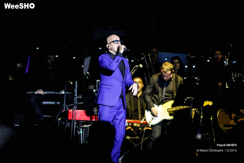22/41 photos du spectacle Pascal Obispo