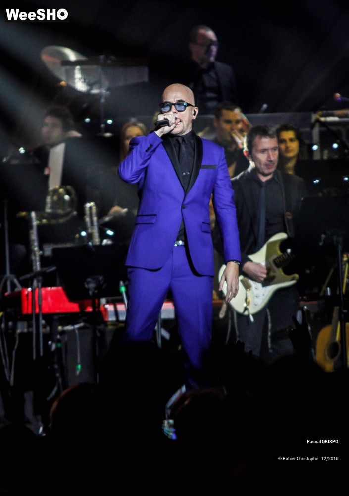 23/41 photos du spectacle Pascal Obispo