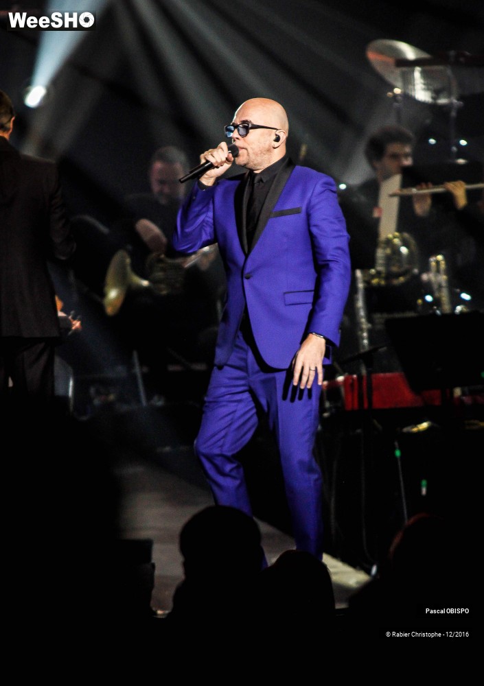 24/41 photos du spectacle Pascal Obispo