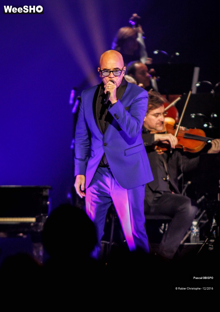 25/41 photos du spectacle Pascal Obispo