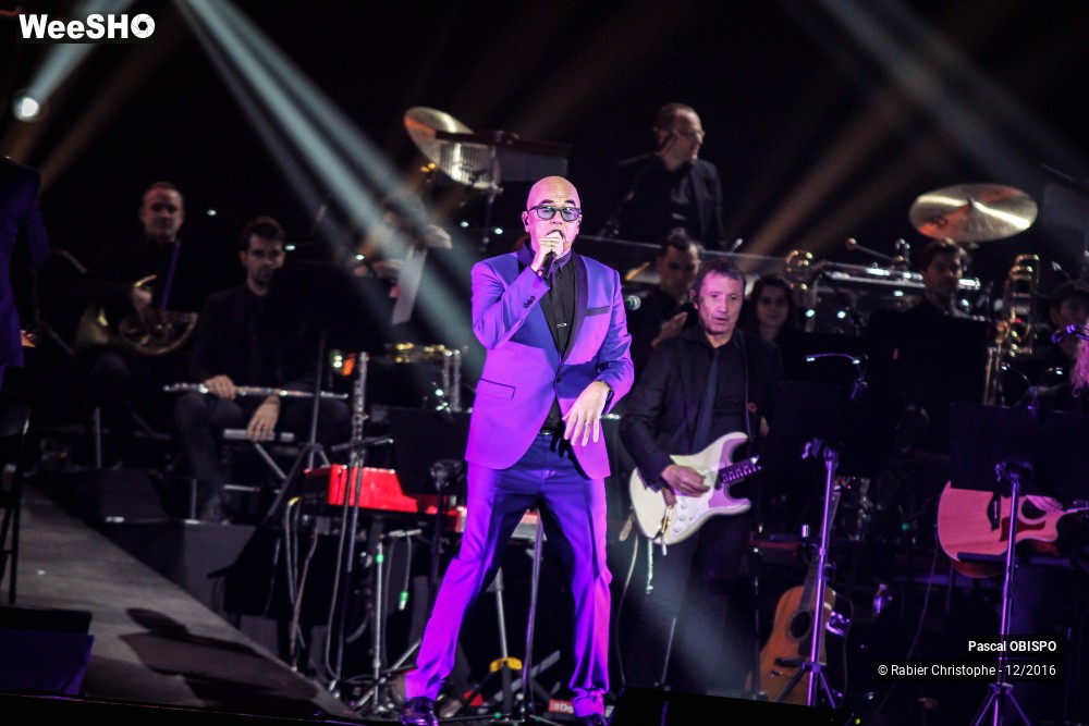 26/41 photos du spectacle Pascal Obispo