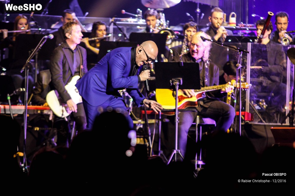 27/41 photos du spectacle Pascal Obispo